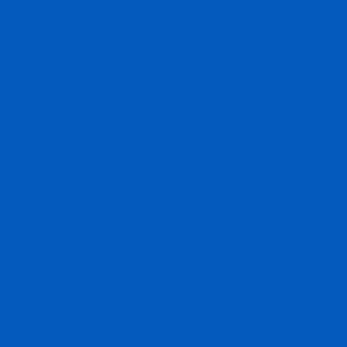 3M Coban Self-Adherent Wrap, 4" x 5 Yard, Blue - 1584B-Single - LL Medico