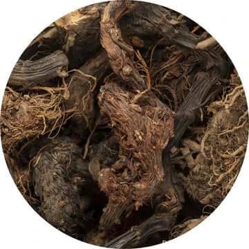 Spikenard Essential Oil - Living Libations
