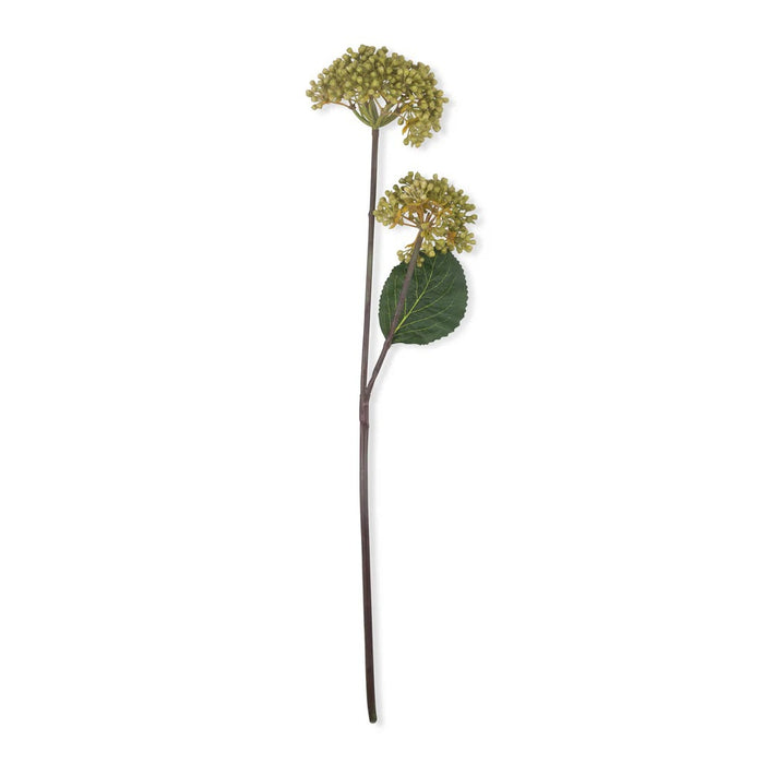 Close-up of small green buds on the ABIGAIL AHERN - VIBURNUM OLIVE artificial stem by ABIGAIL AHERN, set against a dark, blurred background that accentuates its detailed texture and natural patterns.