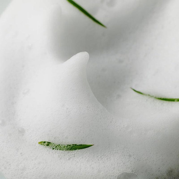 [SOME BY MI] AHA BHA PHA 30 Days Miracle Acne Clear Foam 100ml SOME BY MI