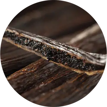 Vanilla Essential Oil - Living Libations